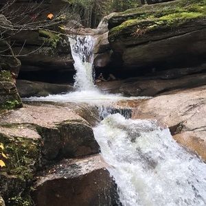 Meet your Posher, Caryn